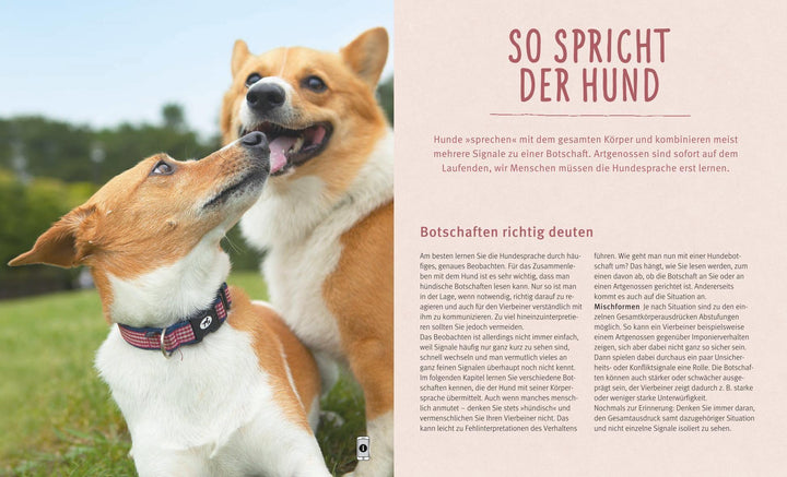 Hundesprache | Schlegl-Kofler, Katharina