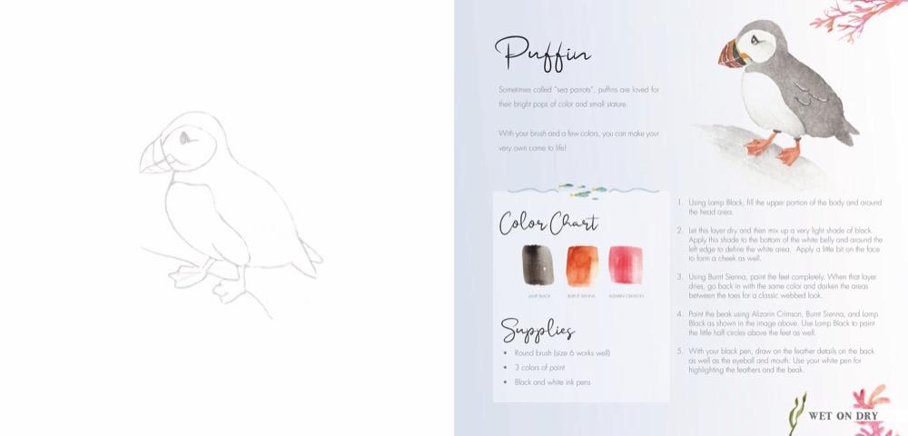 Das große Aquarell-Praxisbuch | Fox, Dana