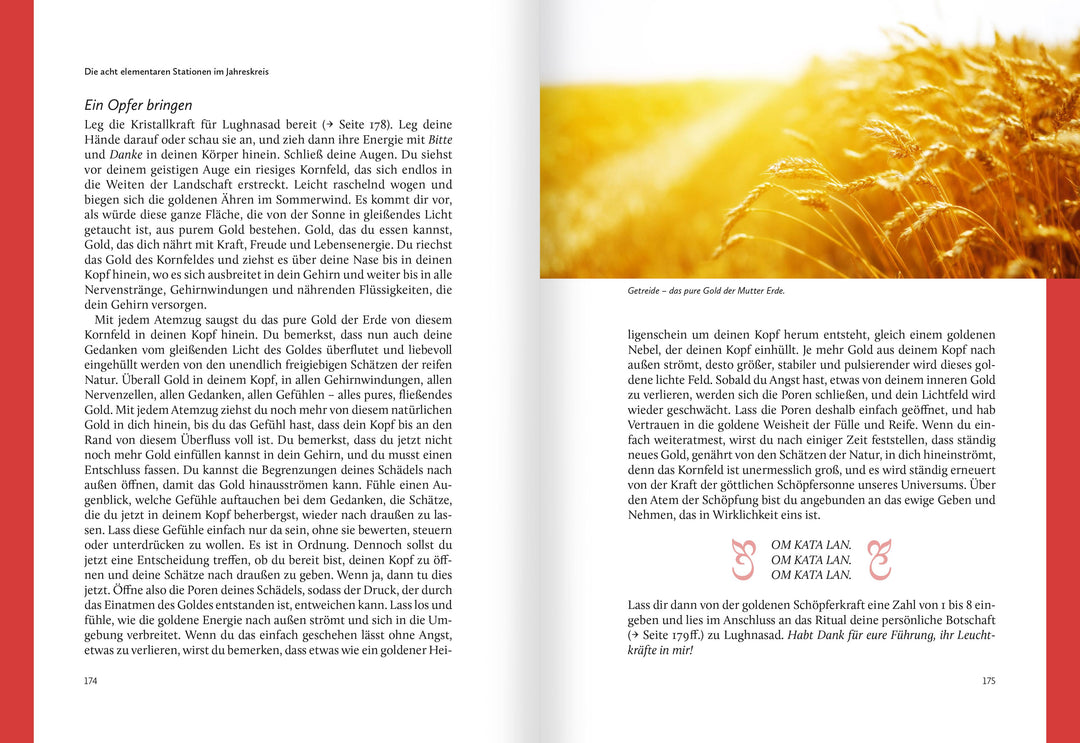 Rituale im Jahreskreis. Harmonisierung und Selbstheilung im Rhythmus der Nat...