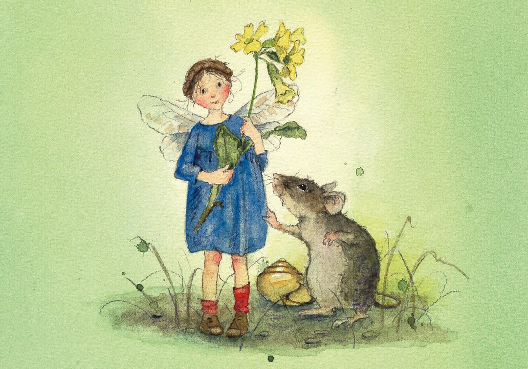 Postkartenbuch "Elfenträume" | Drescher, Daniela