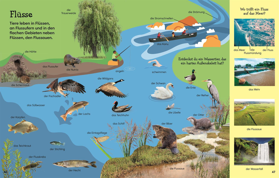 1000 erste Wörter. Natur | -