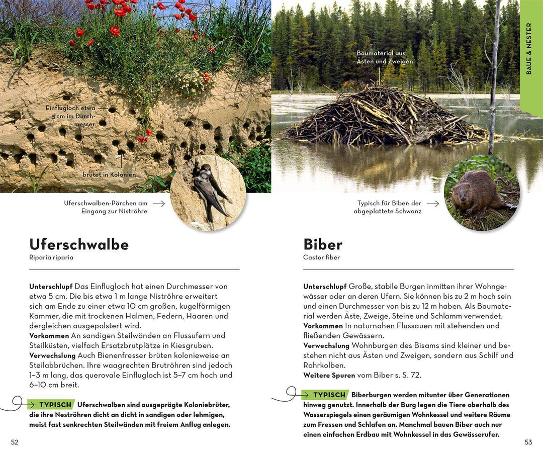 BASIC Tierspuren | Hecker, Frank