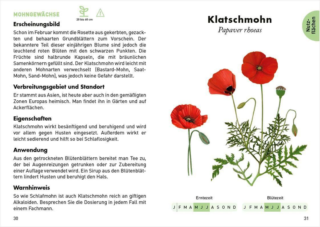 Anaconda Taschenführer Heilpflanzen. 70 Arten entdecken und bestimmen | Peyr...