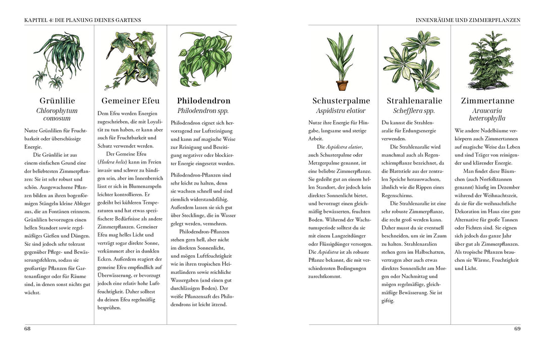 Der Garten der Grünen Magie | Murphy-Hiscock, Arin