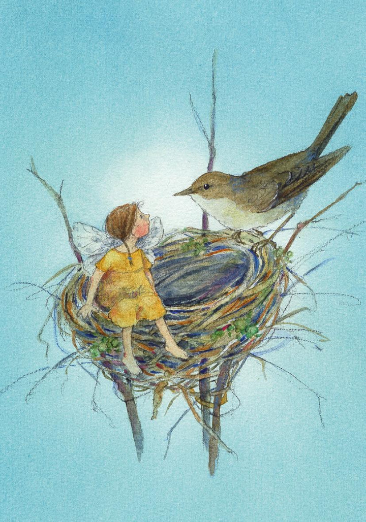 Postkartenbuch "Elfenträume" | Drescher, Daniela