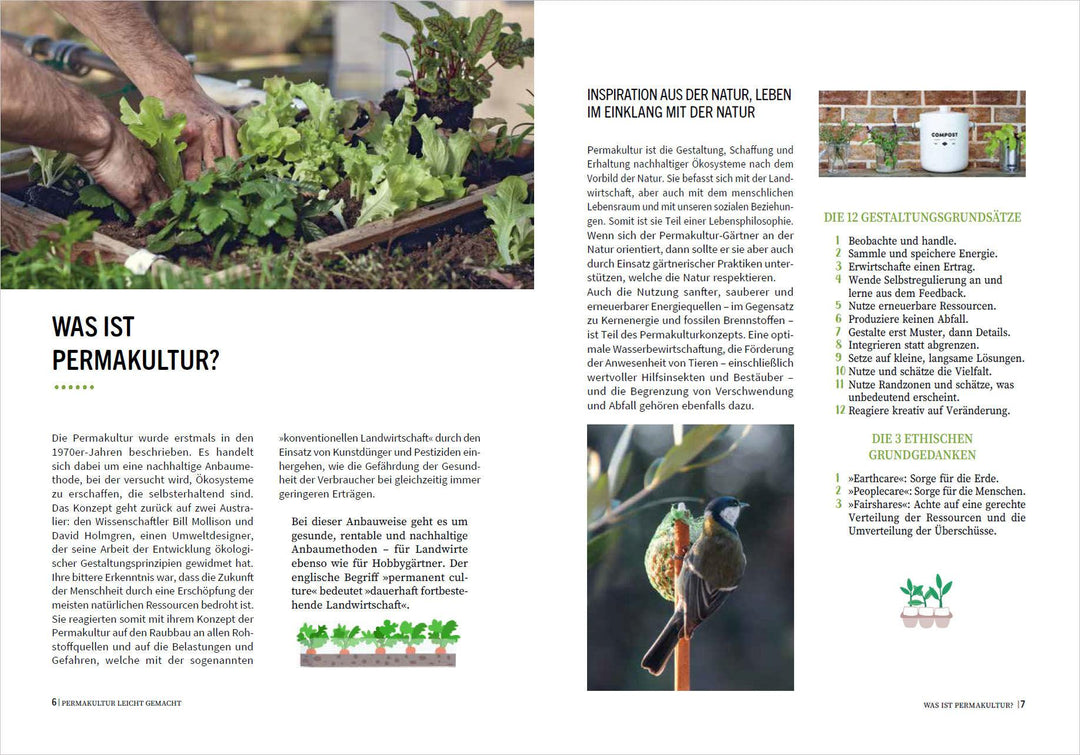 Permakultur auf Balkon & Terrasse. Gemüse nachhaltig und giftfrei anbauen | ...