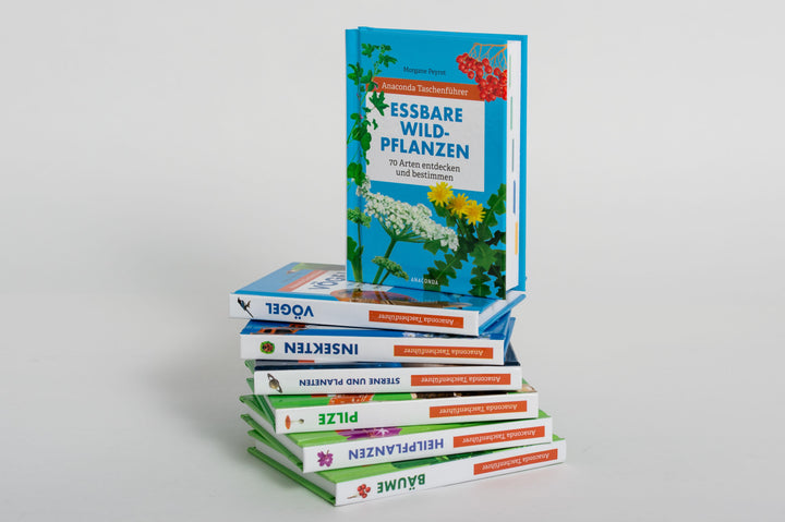 Anaconda Taschenführer Essbare Wildpflanzen. 70 Arten bestimmen und entdecke...