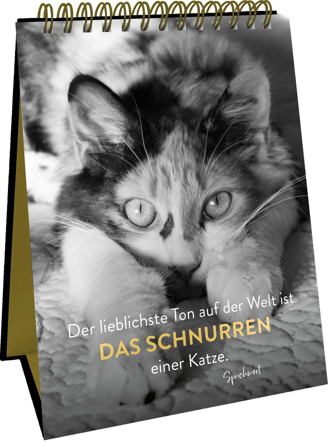 Goldene Katzenweisheiten | -