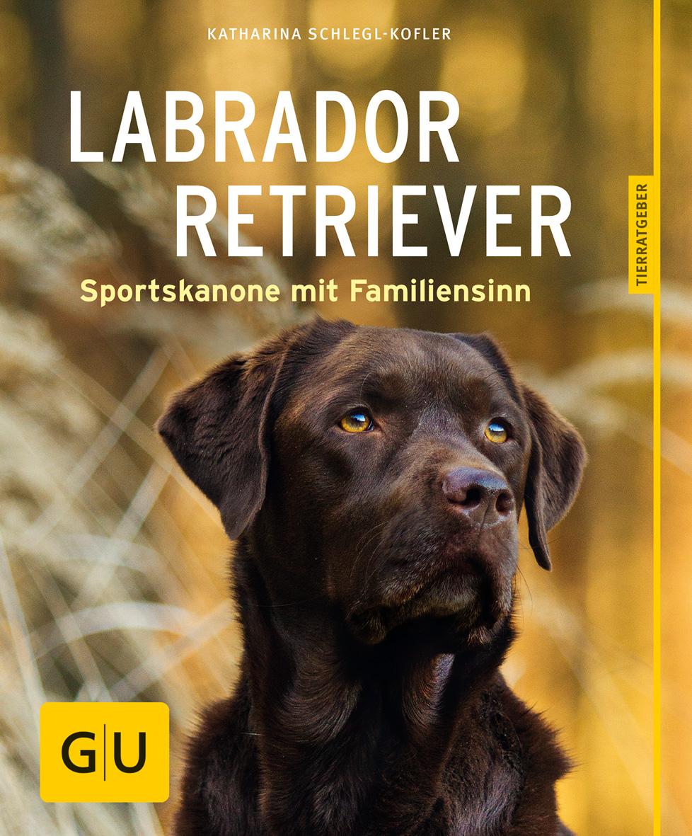 Labrador Retriever | Schlegl-Kofler, Katharina