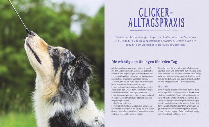 Hunde-Clickertraining | Schlegl-Kofler, Katharina