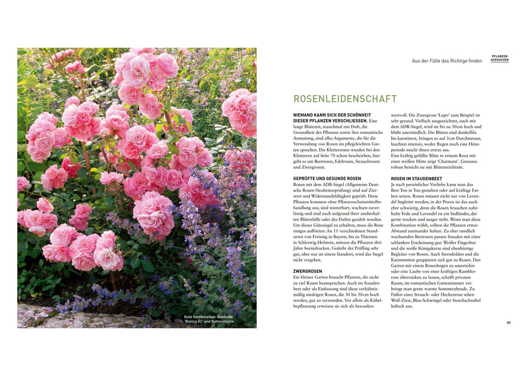 Mein schöner pflegeleichter Garten. Gewusst wie - geschickte Garten-Planung ...