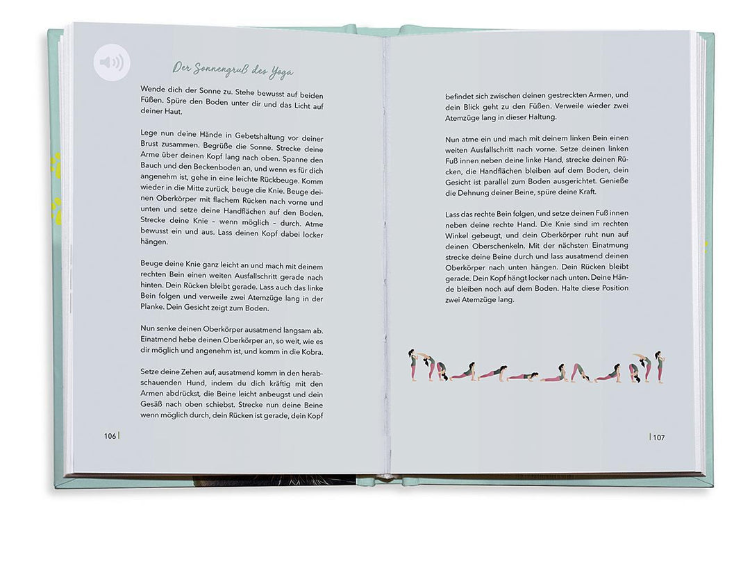 Reconnect. Wie wir uns wieder mit der Natur verbinden | Schneider, Maren