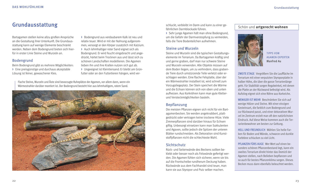 Bartagamen | Au, Manfred