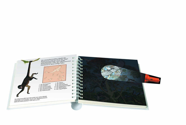 Leben im Dschungel | -