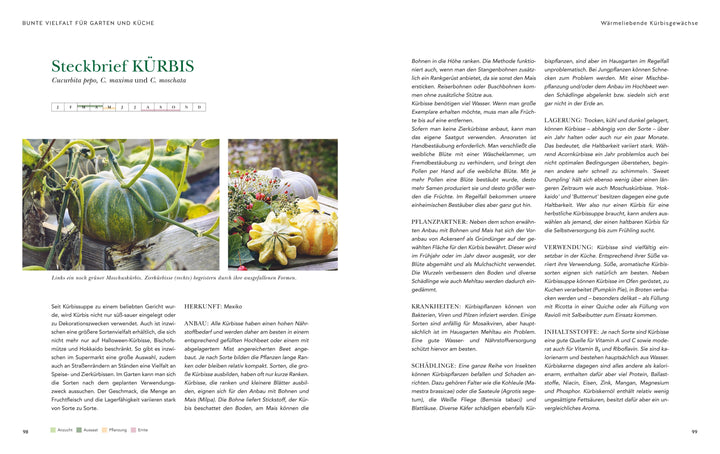 Das große Garten-Gemüse-Buch | Nagel, Cynthia