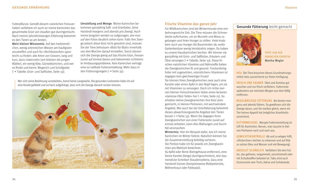 Zwergkaninchen | Wegler, Monika