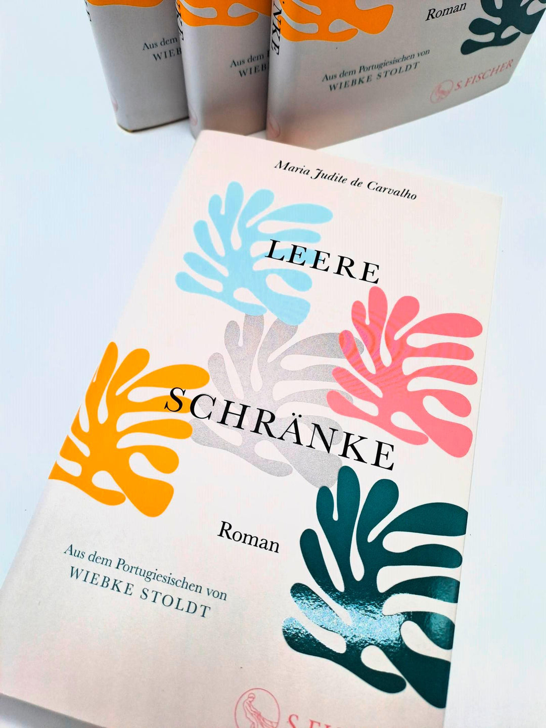 Leere Schränke | Carvalho, Maria Judite de