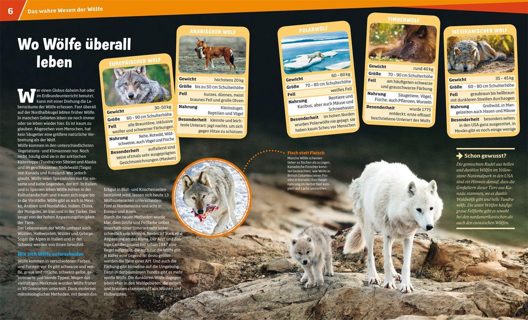 WAS IST WAS Band 104 Wölfe. Im Revier der grauen Jäger | Meyer, Till