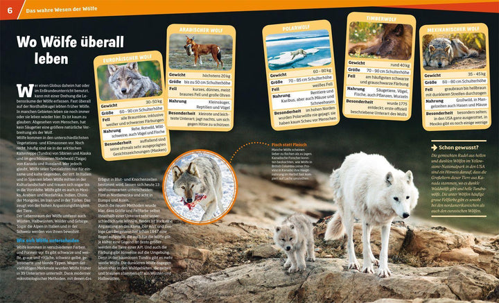 WAS IST WAS Band 104 Wölfe. Im Revier der grauen Jäger | Meyer, Till