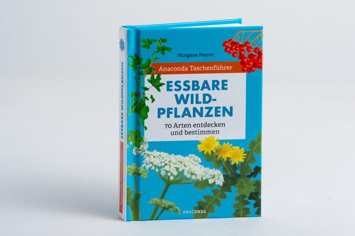 Anaconda Taschenführer Essbare Wildpflanzen. 70 Arten bestimmen und entdecke...