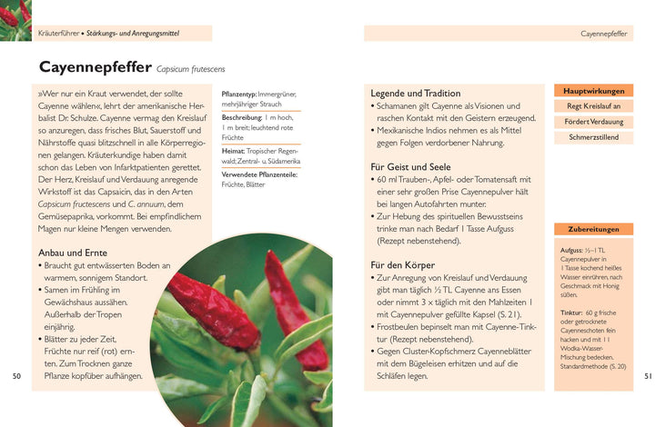 Handbuch Kräuter | Bremness, Lesley