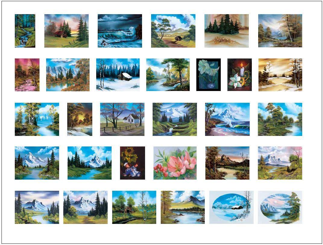 Das Ausmalbuch. | Ross, Bob