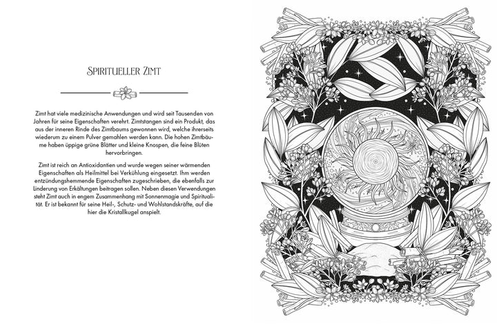 Die Magie der Natur | Peterson, Stratten