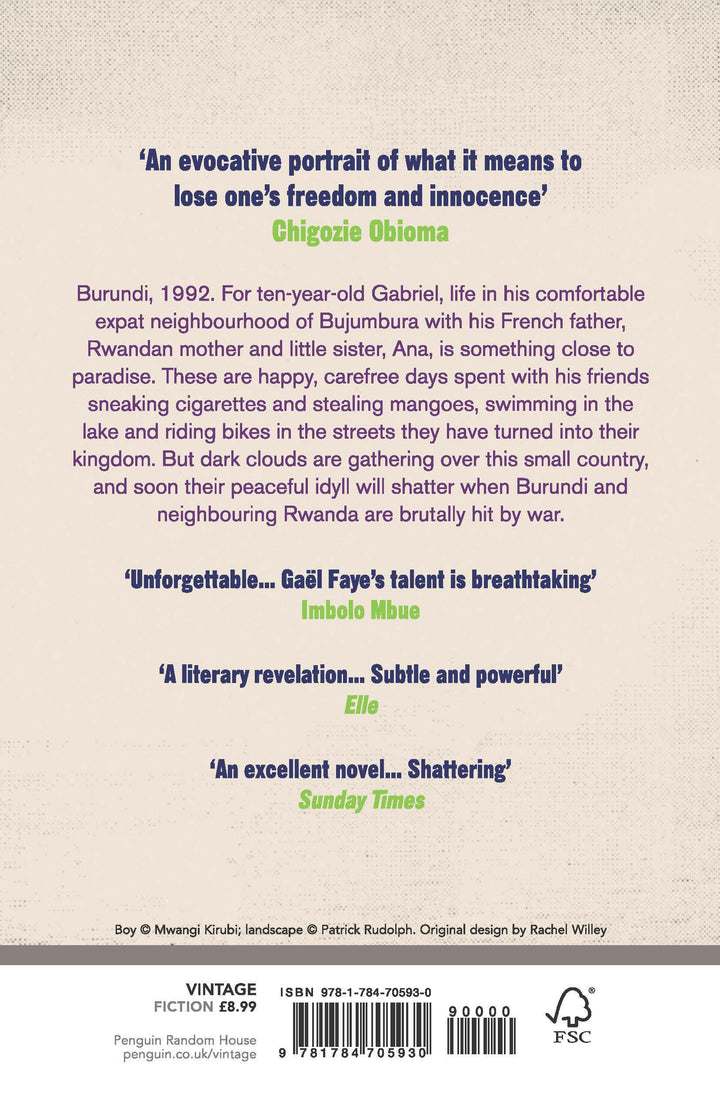 Small Country | Faye, Gaël