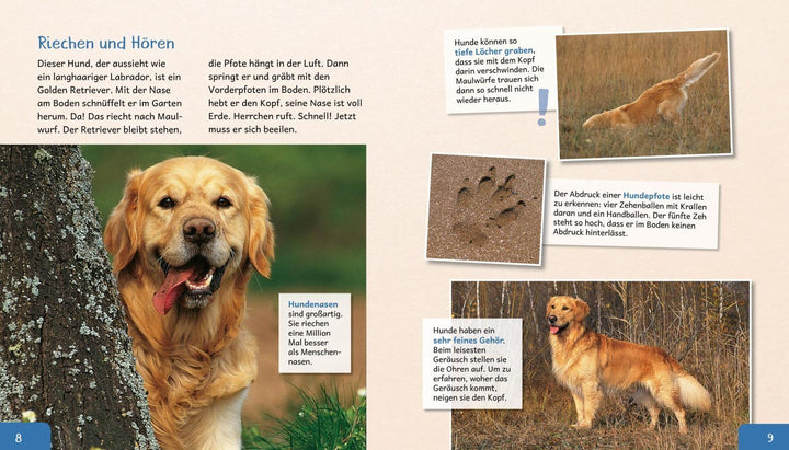 Meine große Tierbibliothek: Der Hund | Tracqui, Valérie