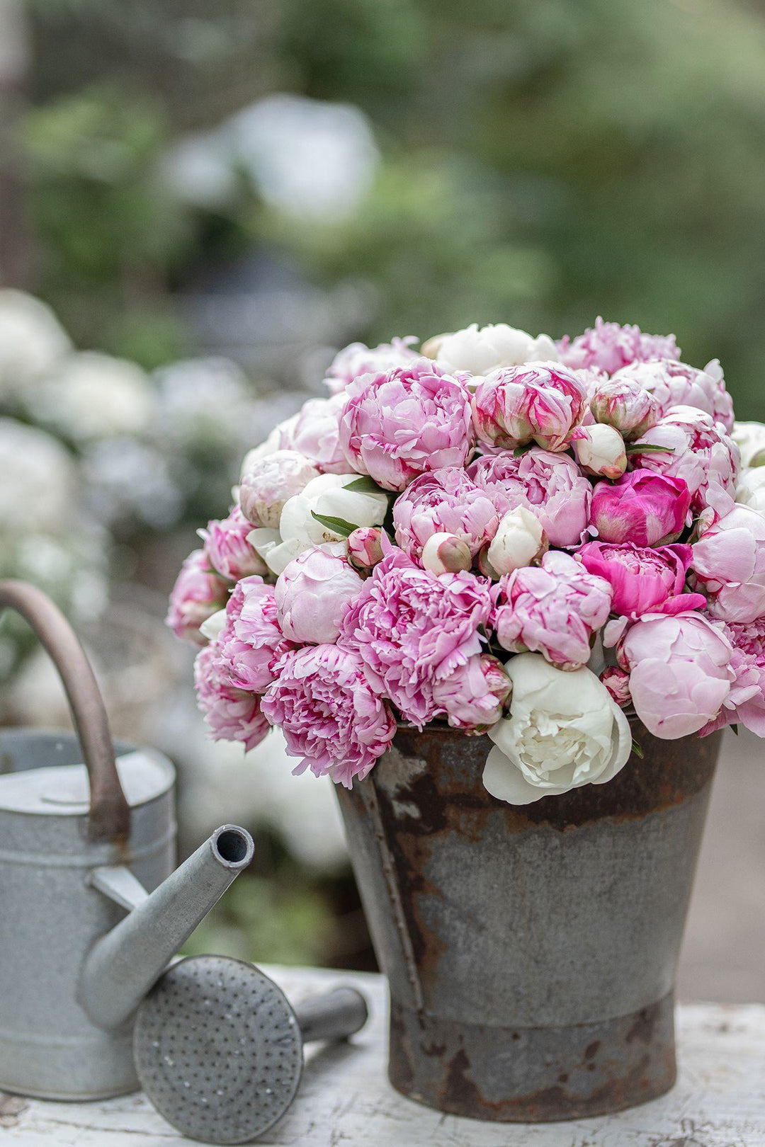 Französisches Landhaus-Flair | Kohler, Ramona Christina