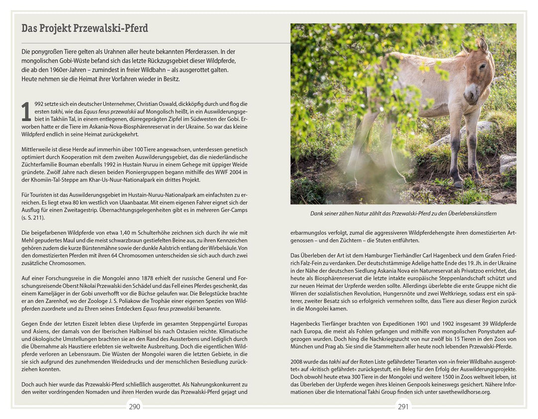 DUMONT Reise-Handbuch Reiseführer Mongolei | Woeste, Peter | Walther, Michael