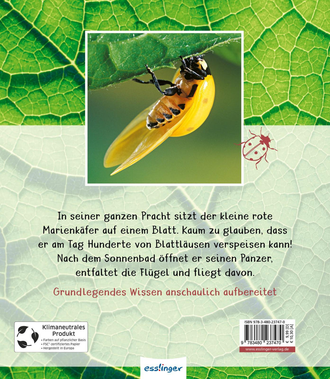 Meine große Tierbibliothek: Der Marienkäfer | Tracqui, Valérie