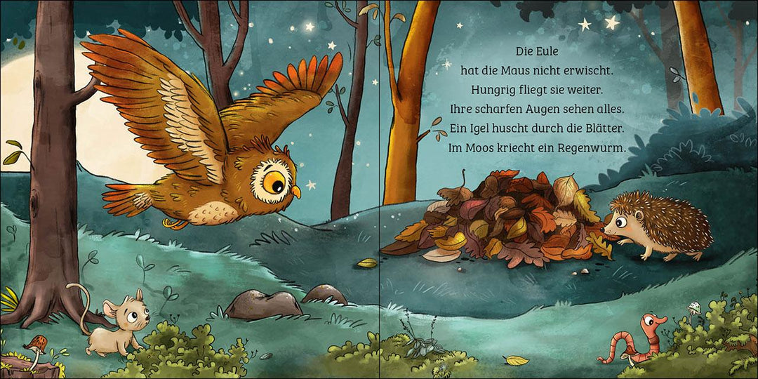 Mein erstes Naturbuch - Die Eule | Grimm, Sandra