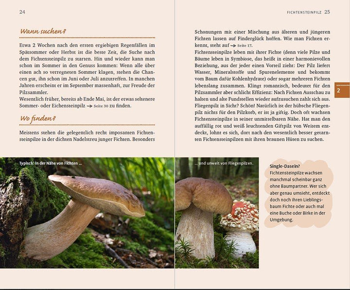 10 Pilze | Schuster, Gerhard | Schneider, Christine