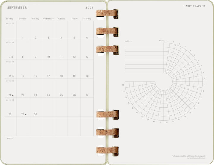 Moleskine 12 Monate Studienplaner mit Spiralbindung 2026, L/A5, Fester Einba...