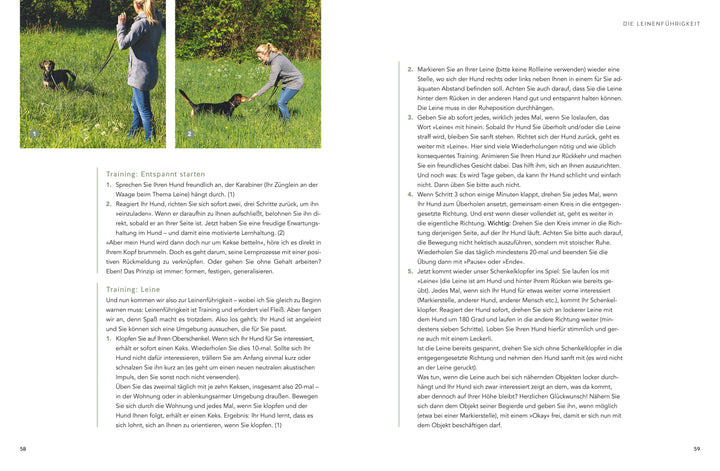 Mein Herz schlägt Hund | Marioth, Katharina