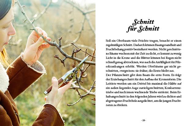 Das große kleine Buch: Obstbäume in unserem Garten | Papouschek, Elke