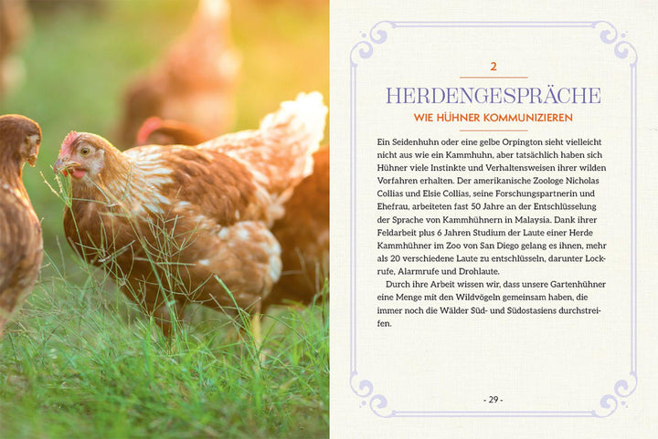 How to Read a Chicken's Mind | Caughey, Melissa