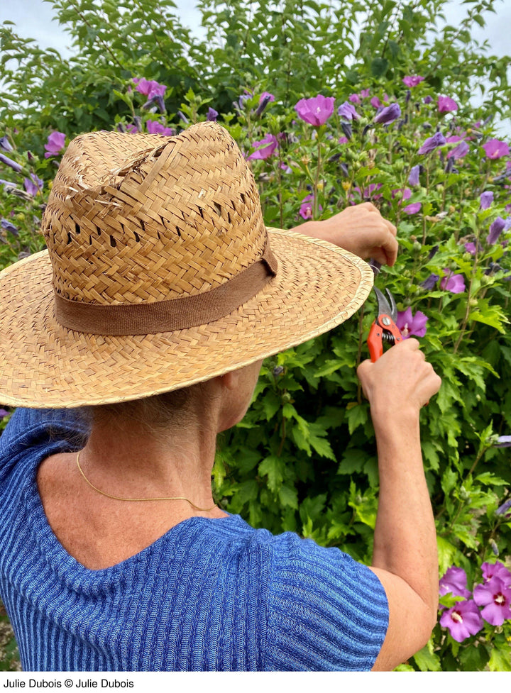 Trüffelgold | Dubois, Julie