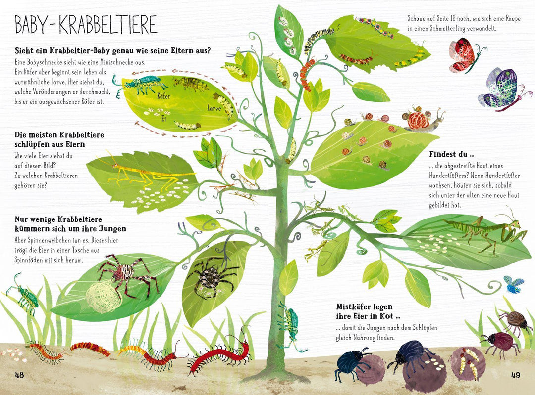Das große Buch der Krabbeltiere | Zommer, Yuval