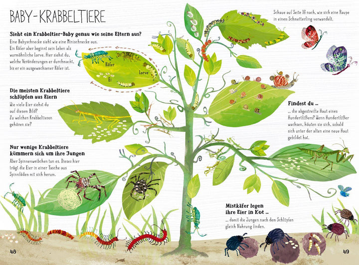 Das große Buch der Krabbeltiere | Zommer, Yuval