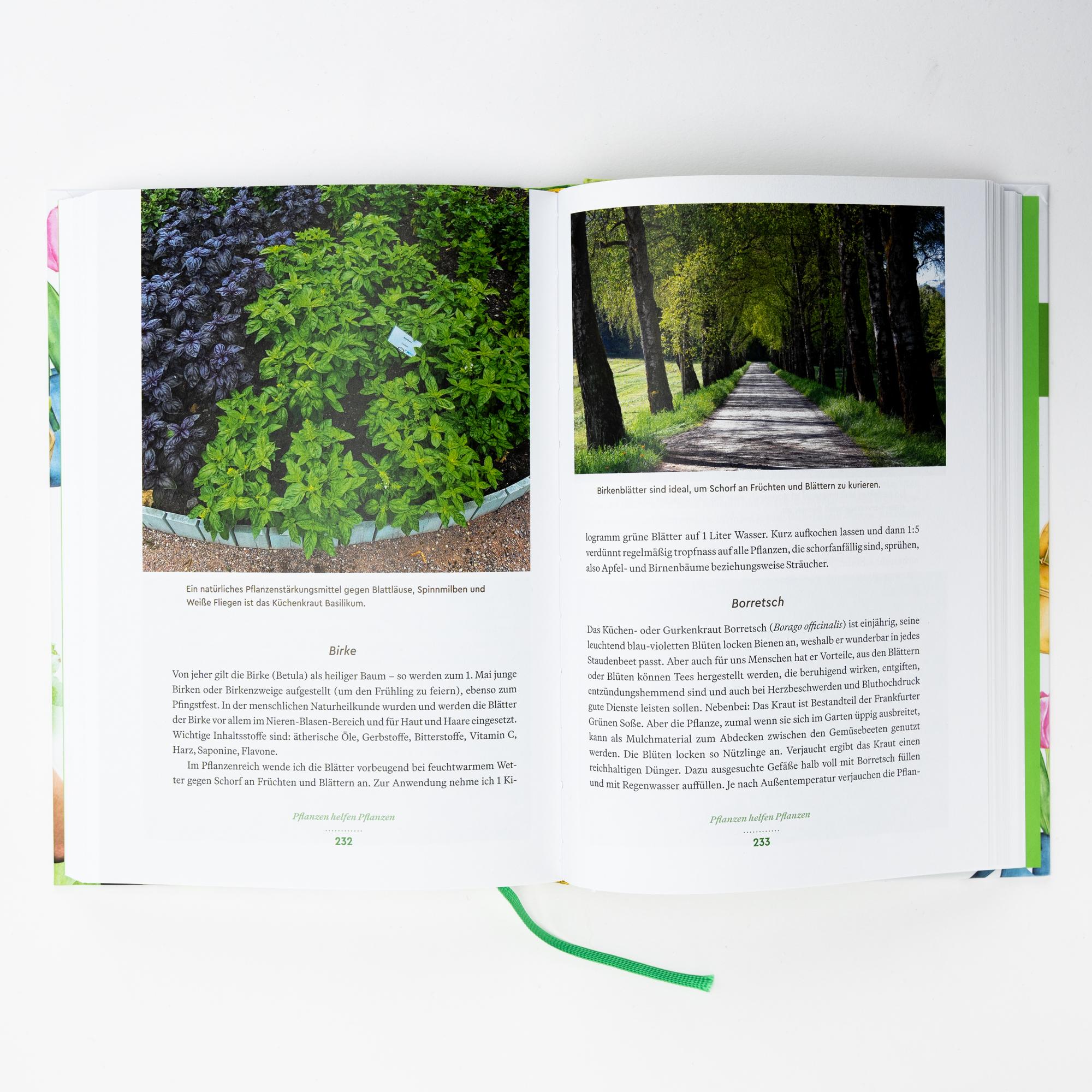 Der große Wadas | Wadas, René