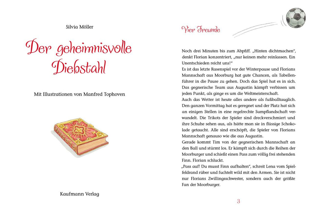 Der geheimnisvolle Diebstahl | Möller, Silvia