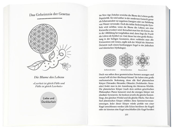 Higher Mind. Die Gesetze des Bewusstseins | Schwarz, Andreas