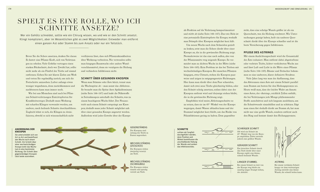 100 Fragen und Antworten zum Gärtnern | Farrimond, Stuart