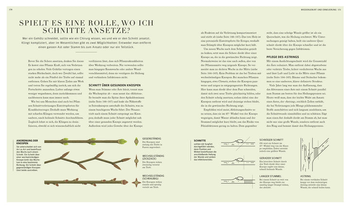 100 Fragen und Antworten zum Gärtnern | Farrimond, Stuart