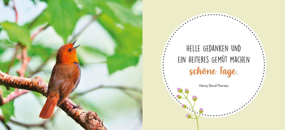 Gute Gedanken für jeden Tag | -