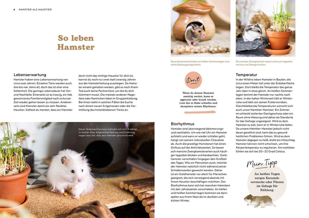 Hamster | Rößner, Saskia