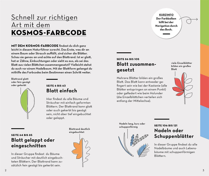 BASIC Bäume | Hecker, Katrin | Hecker, Frank