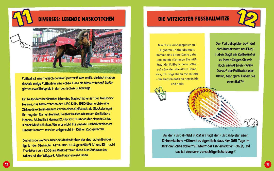 100 Dinge, die du als Fußball-Fan wissen musst | Kiefer, Philip | Schwager &...